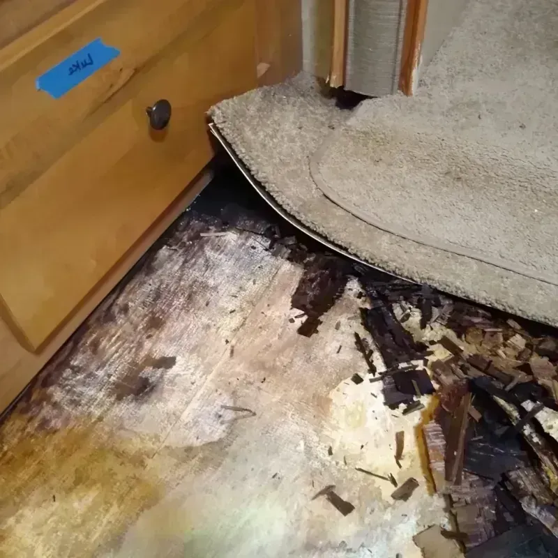 Best Wood Floor Water Damage Service in Dacono, CO